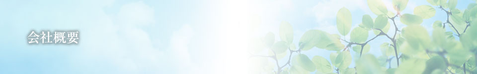 会社概要